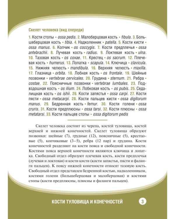 Анатомия человека. Кости туловища и конечностей. Карточки: Наглядное учебное пособие
