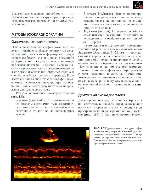 Клиническая эхокардиография: основной курс
