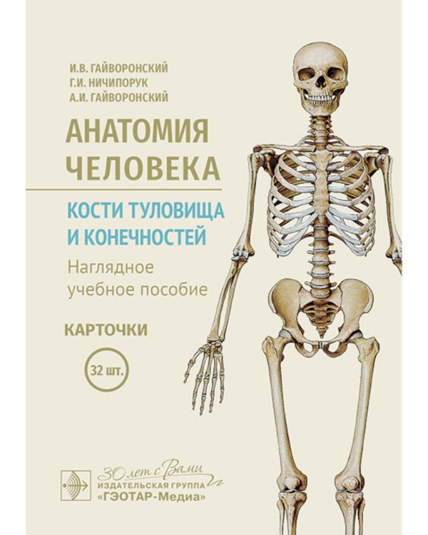 Анатомия человека. Кости туловища и конечностей. Карточки: Наглядное учебное пособие