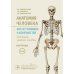 Анатомия человека. Кости туловища и конечностей. Карточки: Наглядное учебное пособие