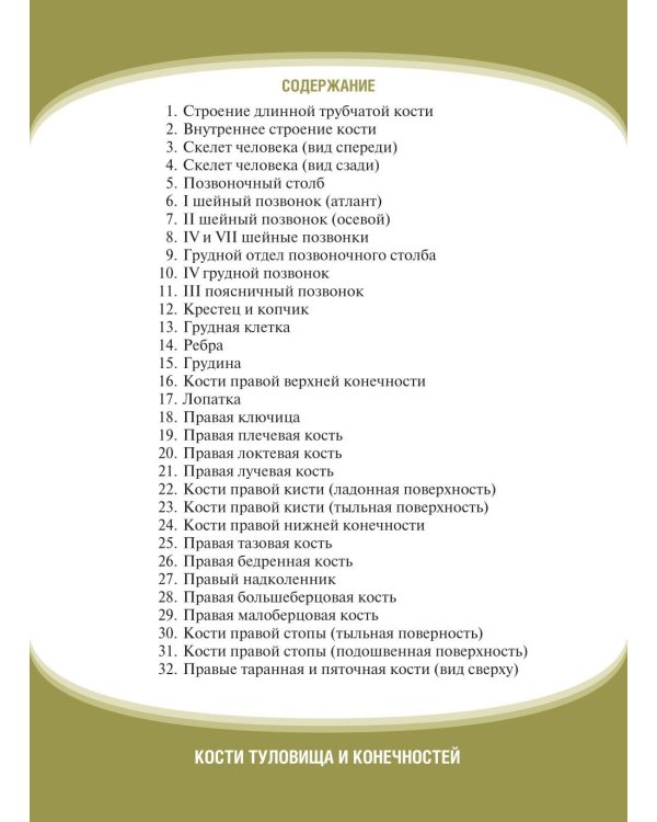Анатомия человека. Кости туловища и конечностей. Карточки: Наглядное учебное пособие