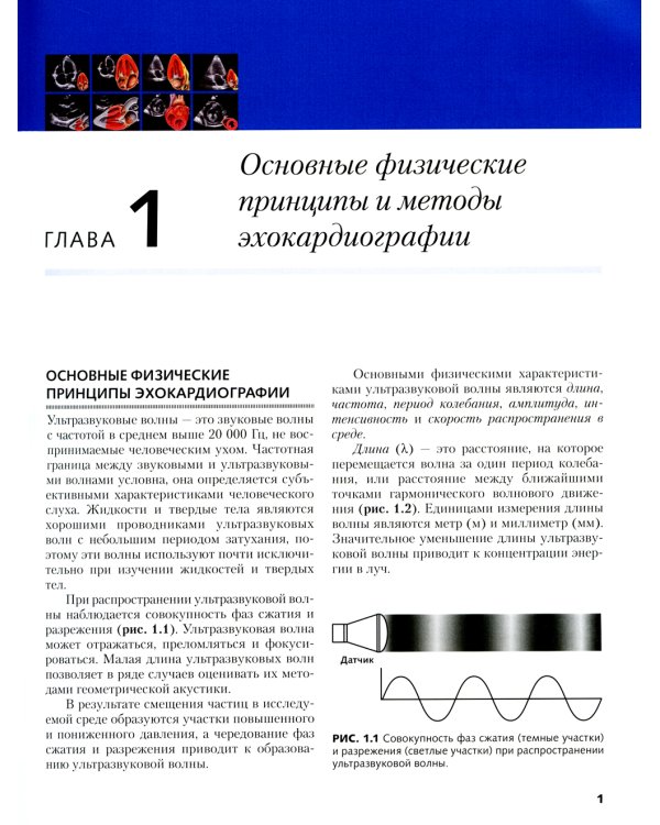 Клиническая эхокардиография: основной курс