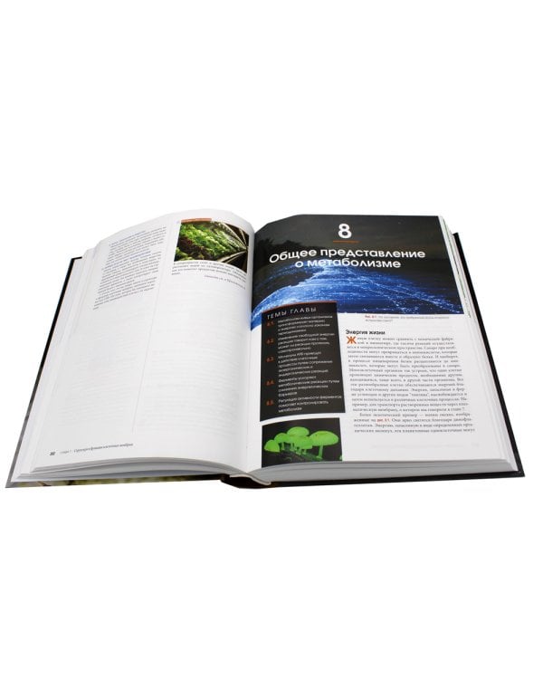 Биология Campbell. В 3 т. Т. 1. Химия жизни. Клетка. Генетика