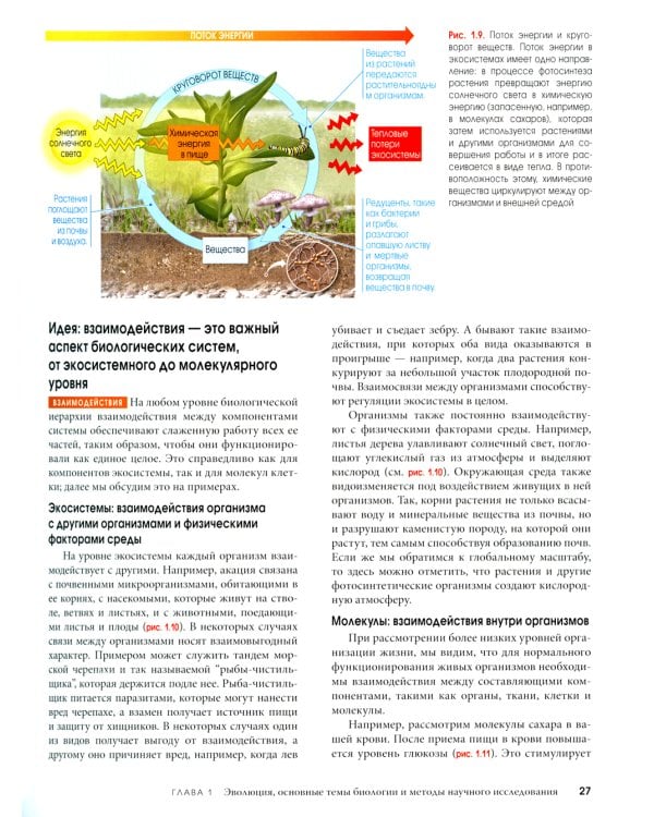 Биология Campbell. В 3 т. Т. 1. Химия жизни. Клетка. Генетика