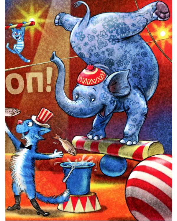 Цирк и не только