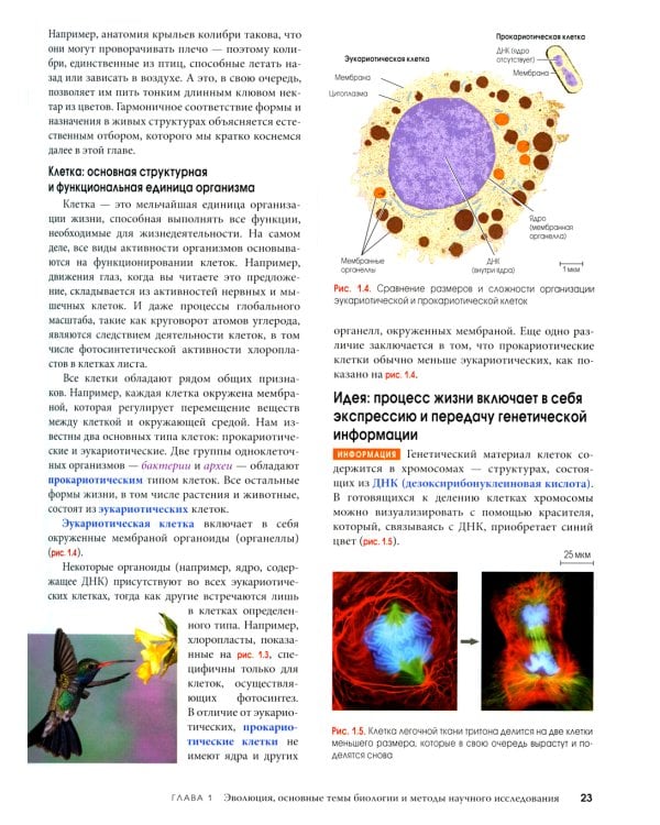 Биология Campbell. В 3 т. Т. 1. Химия жизни. Клетка. Генетика