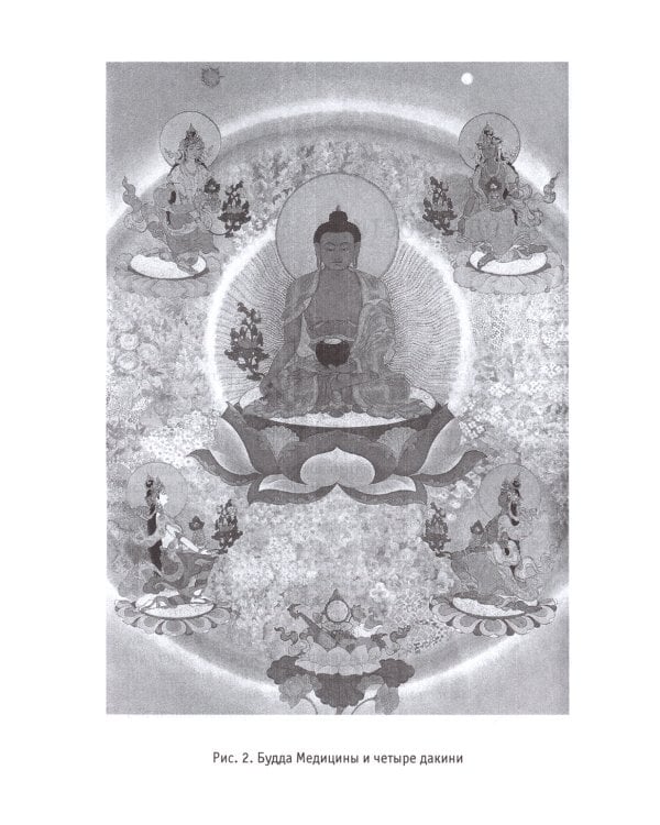 Тонкая анатомия в тибетской медицине, йоге и медитации. Ключ к энергетической структуре человека