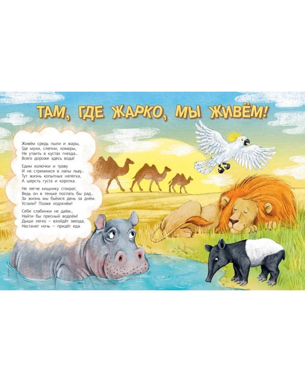 Посмотри, где мы живем!