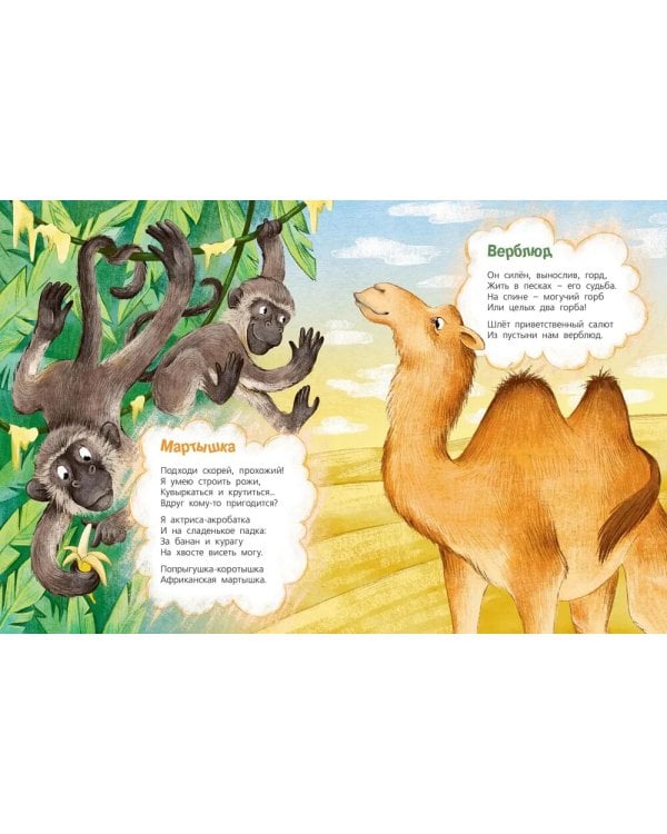 Посмотри, где мы живем!