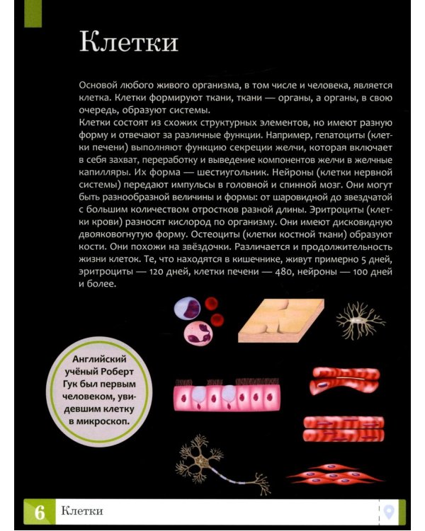 Тело человека: энциклопедия