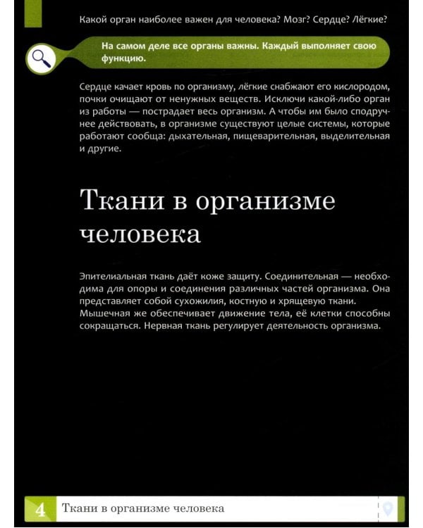 Тело человека: энциклопедия