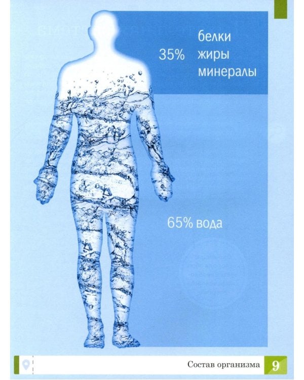 Тело человека: энциклопедия