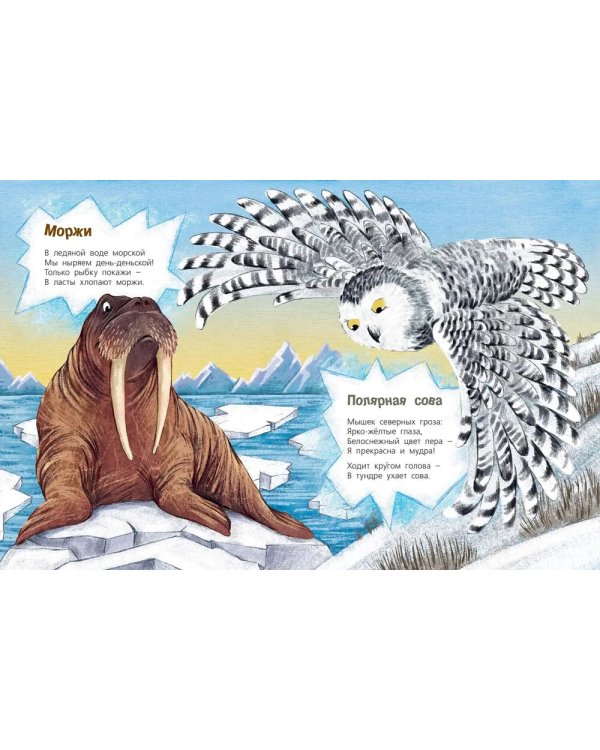 Посмотри, где мы живем!