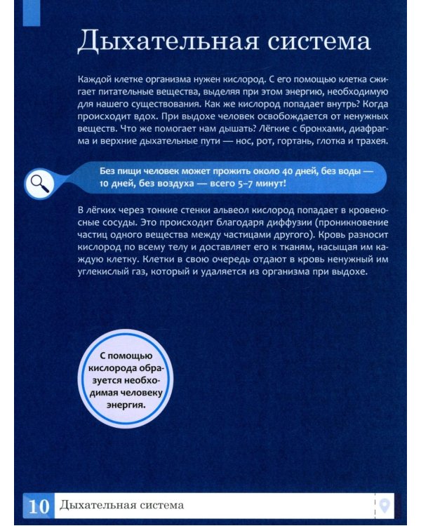 Тело человека: энциклопедия