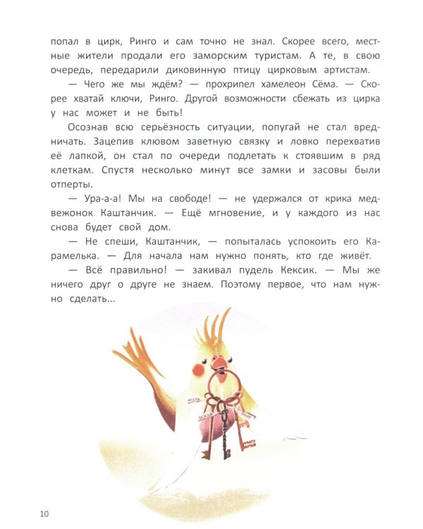 Кругосветное ПОНИшествие