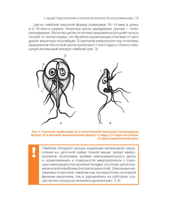 Лямблиоз: руководство для врачей