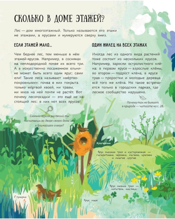 Лес. Самый умный дом на свете