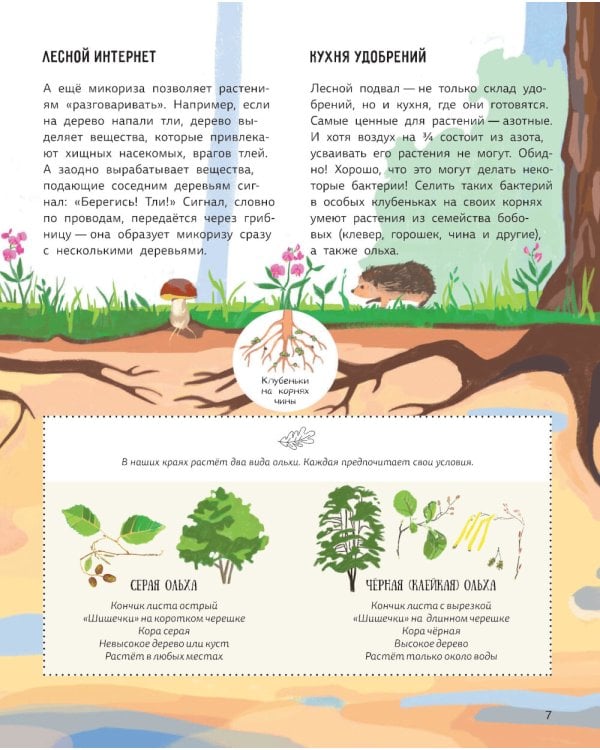 Лес. Самый умный дом на свете