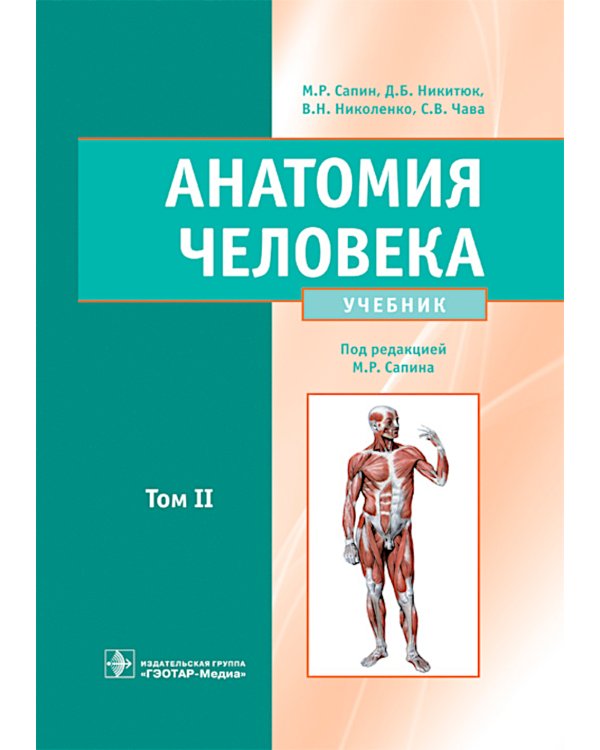 Анатомия человека. Учебник. В 2 т. Т. 2