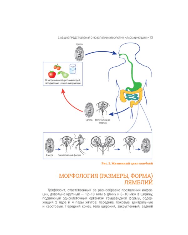 Лямблиоз: руководство для врачей