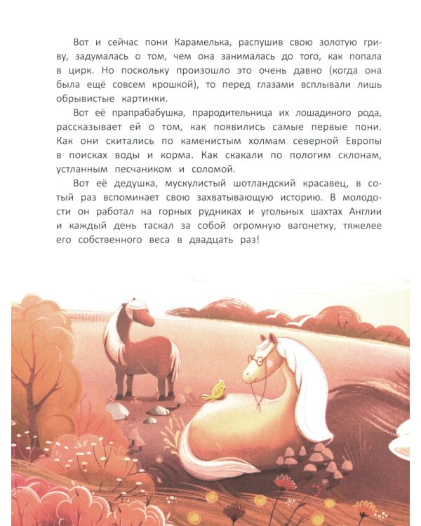 Кругосветное ПОНИшествие