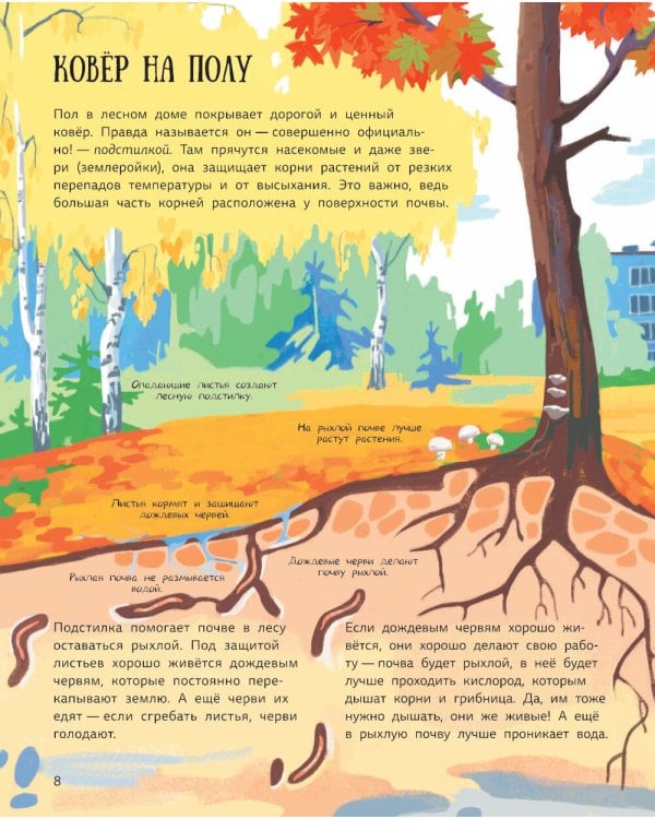 Лес. Самый умный дом на свете