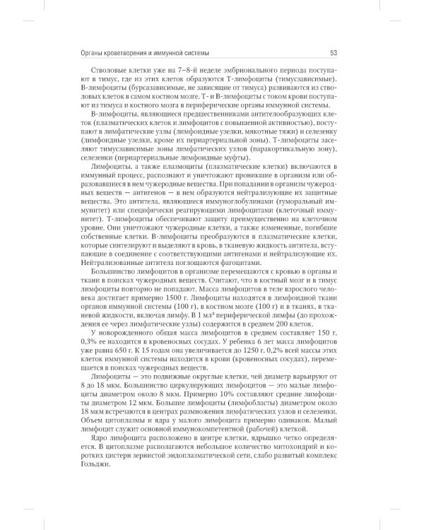 Анатомия человека. Учебник. В 2 т. Т. 2