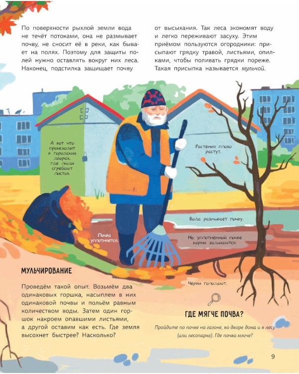 Лес. Самый умный дом на свете