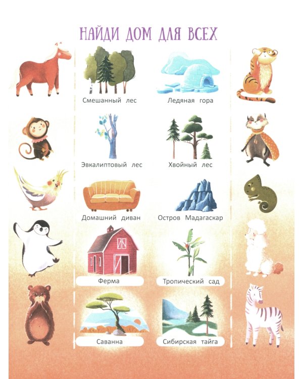 Кругосветное ПОНИшествие