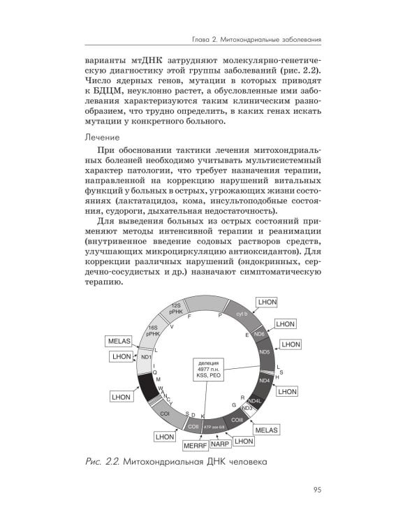 Нейрометаболические заболевания у детей и подростков: диагностика и подходы к лечению. 3-е изд., перераб и доп