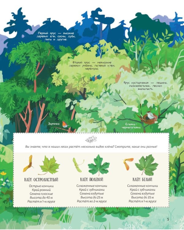 Лес. Самый умный дом на свете