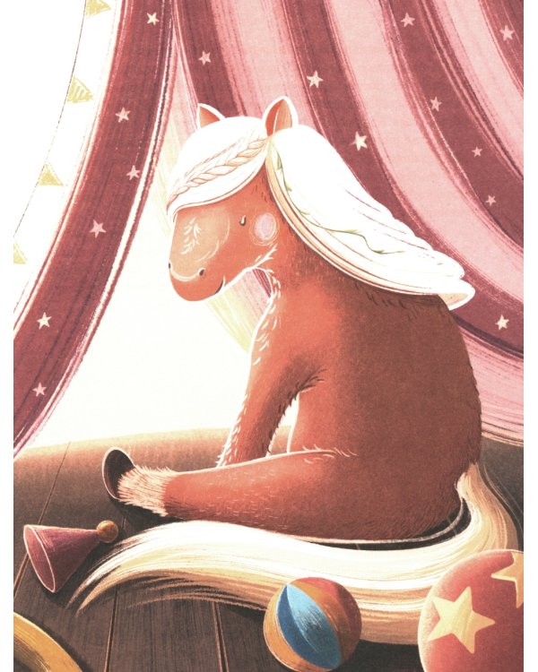 Кругосветное ПОНИшествие