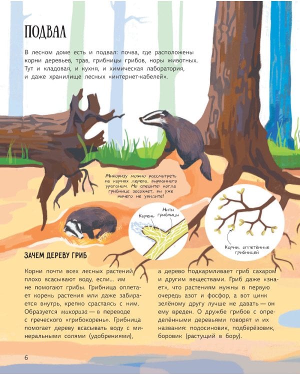 Лес. Самый умный дом на свете