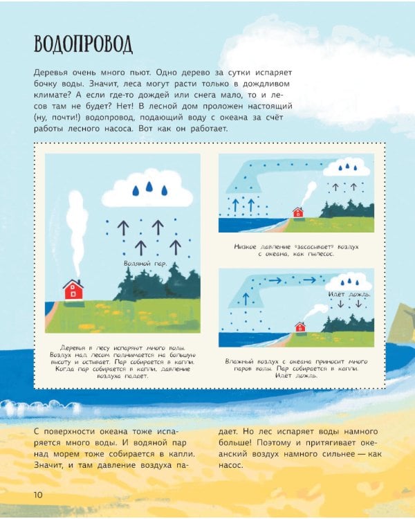 Лес. Самый умный дом на свете