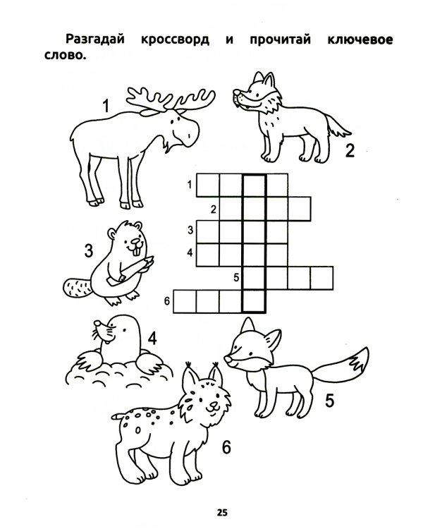 Умный дошкольник. Мир вокруг: тренажер-практикум: 5+