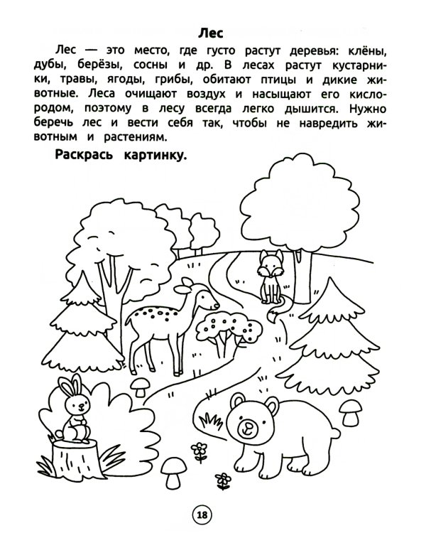 Умный дошкольник. Мир вокруг: тренажер-практикум: 5+