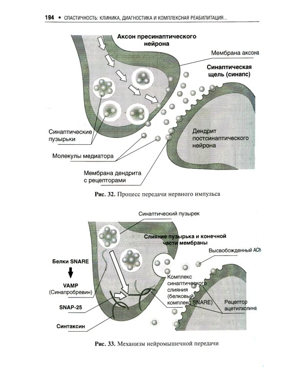 Спастичность: клиника, диагностика и комплексная реабилитация с применением ботулинотерапии. 3-е изд., перераб. и доп