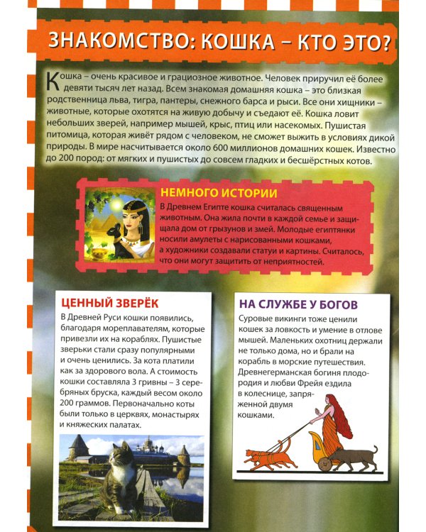 Кошки и котята (Популярная детская энциклопедия)