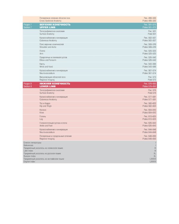 Атлас анатомии человека. 7-е изд