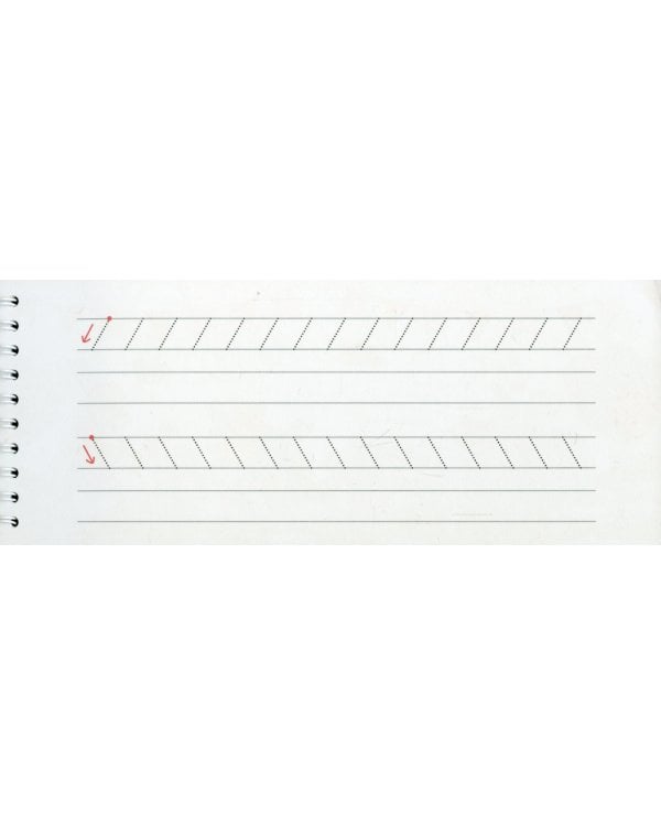 Многоразовые прописи на пружинке. 4+ Лесные приключения