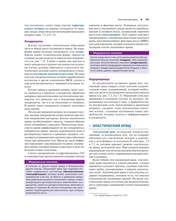 Гистология по Жункейре. Учебное пособие. Атлас