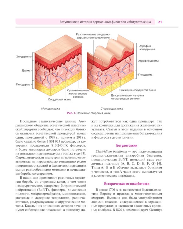 Практическое применение косметических инъекционных препаратов. Дермальные филлеры и ботулотоксин