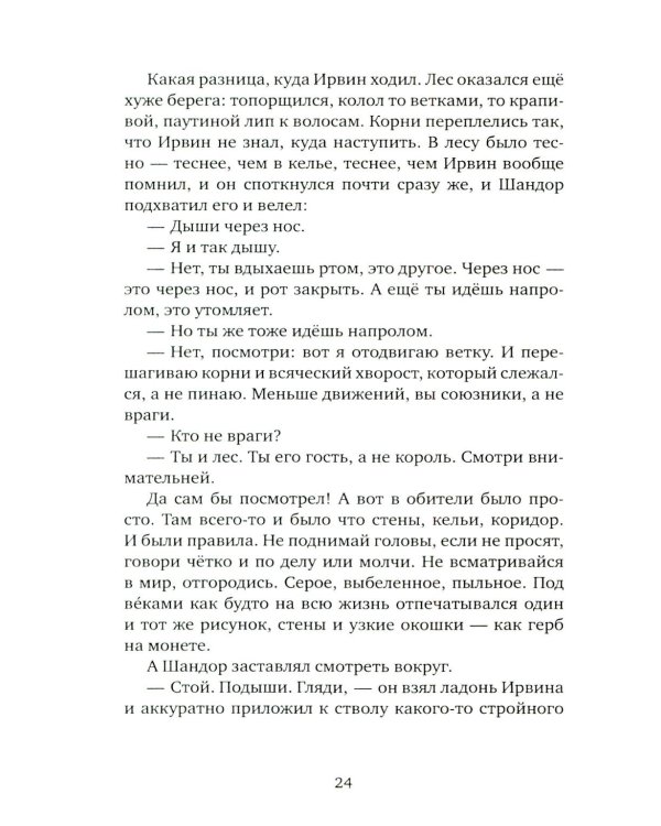 Мальчик и его маг