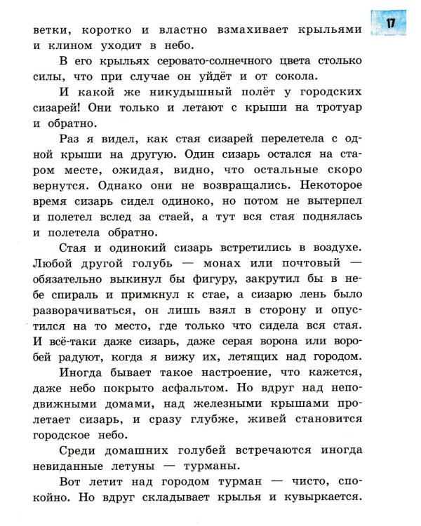 Пять похищенных монахов: повесть