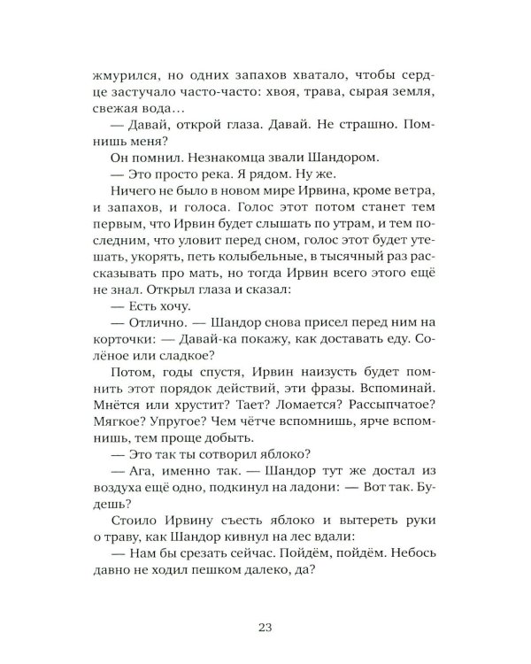 Мальчик и его маг