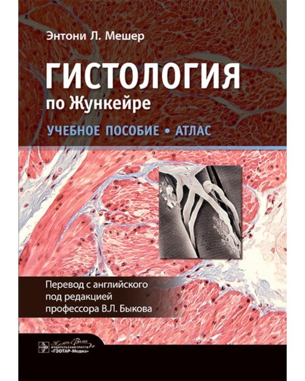Гистология по Жункейре. Учебное пособие. Атлас