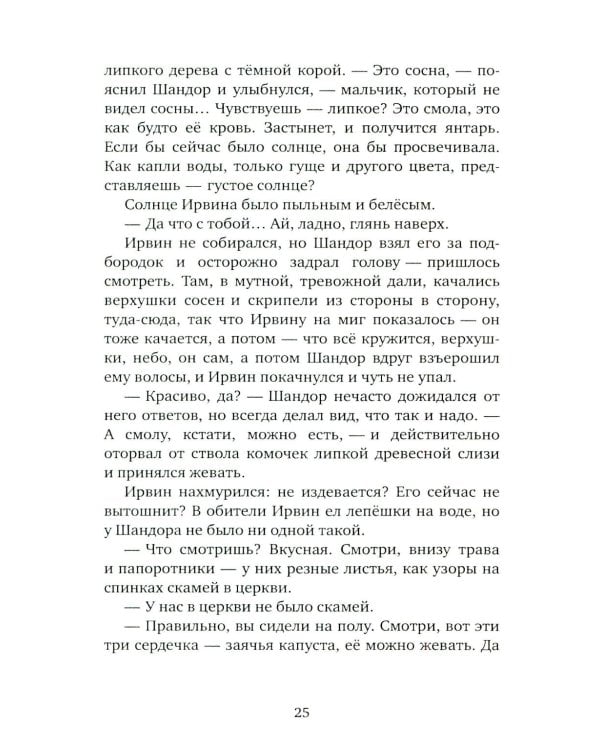 Мальчик и его маг