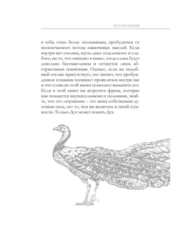 Единство со всей жизнью