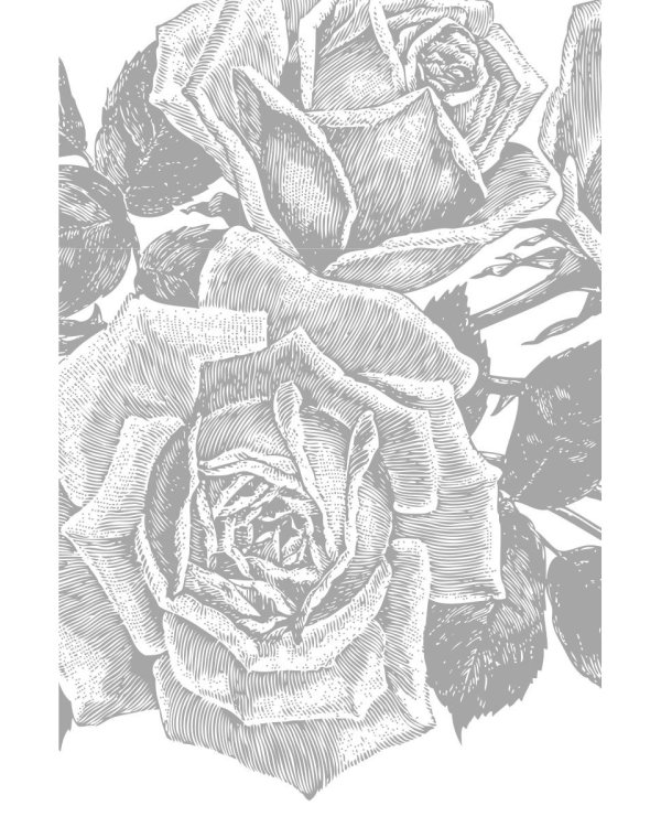 Единство со всей жизнью