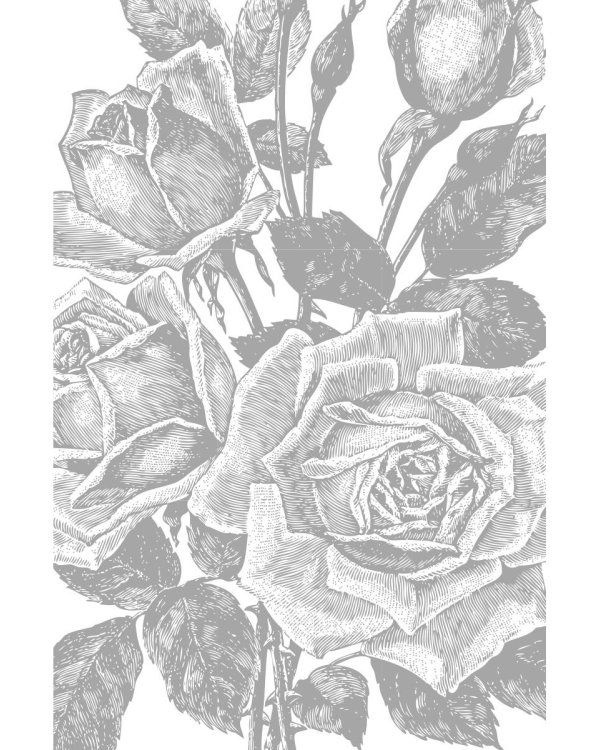 Единство со всей жизнью